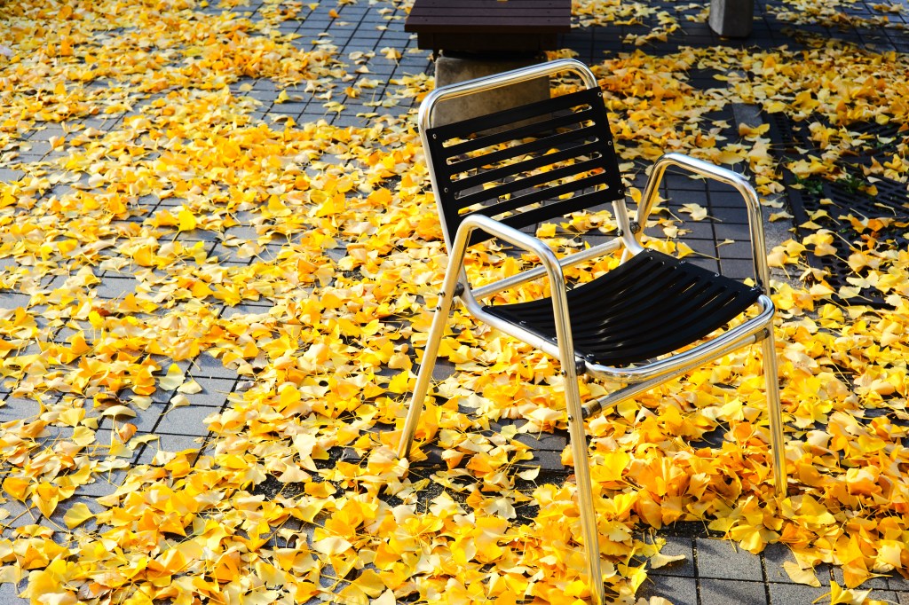 20241200LifeSnippets